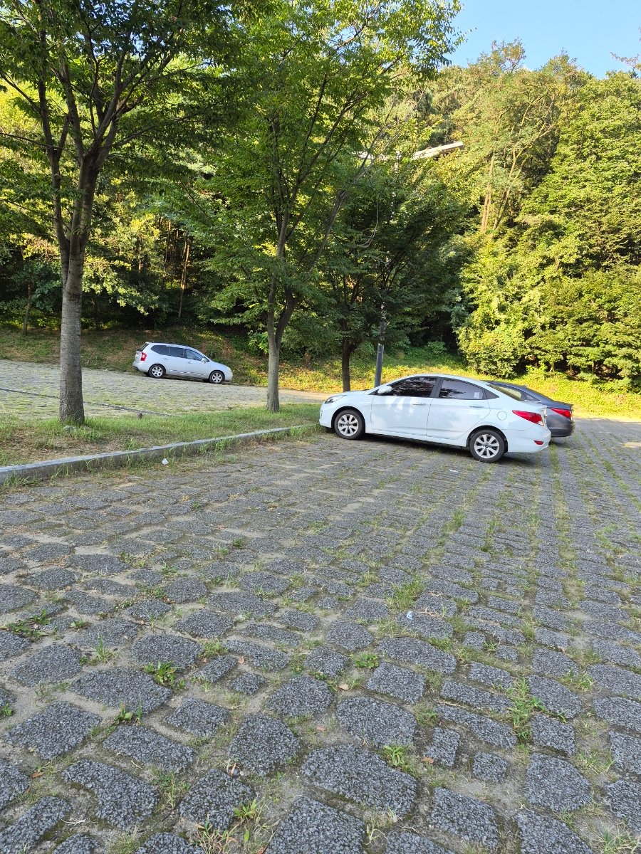 보문산 (Bomunsan Mountain), photo 2