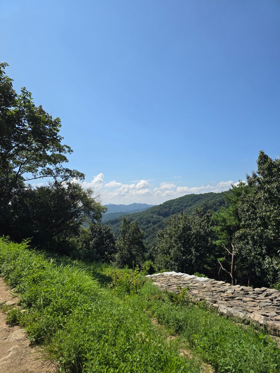 보문산 (Bomunsan Mountain), photo 6