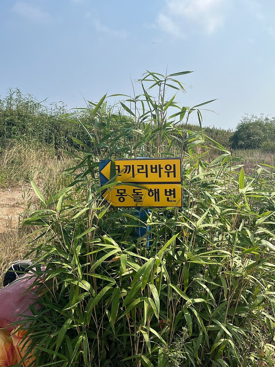 몽돌해변 (Mongdol Beach), photo 4