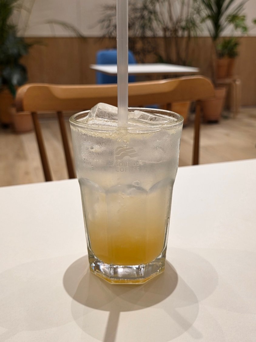 Fruit ade