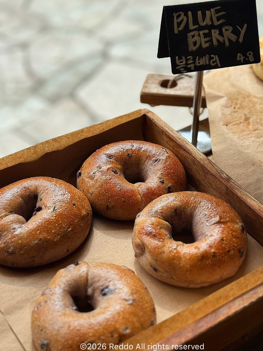Bagel