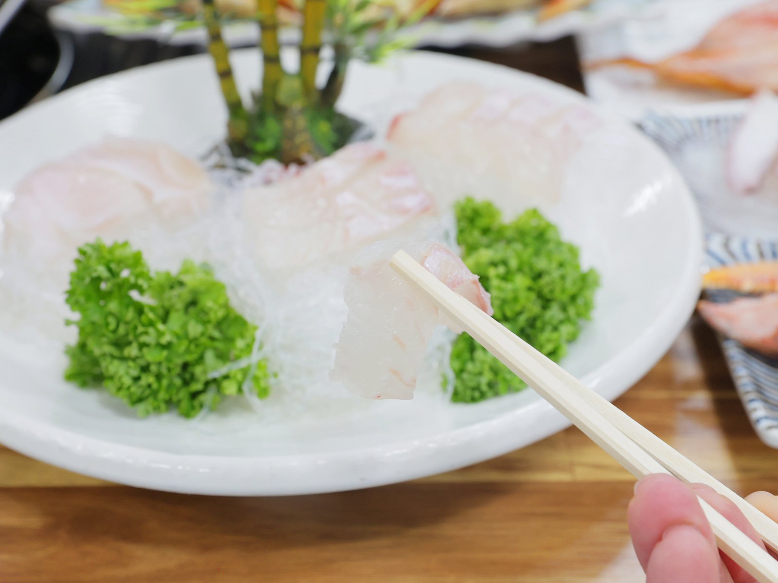 Sashimi