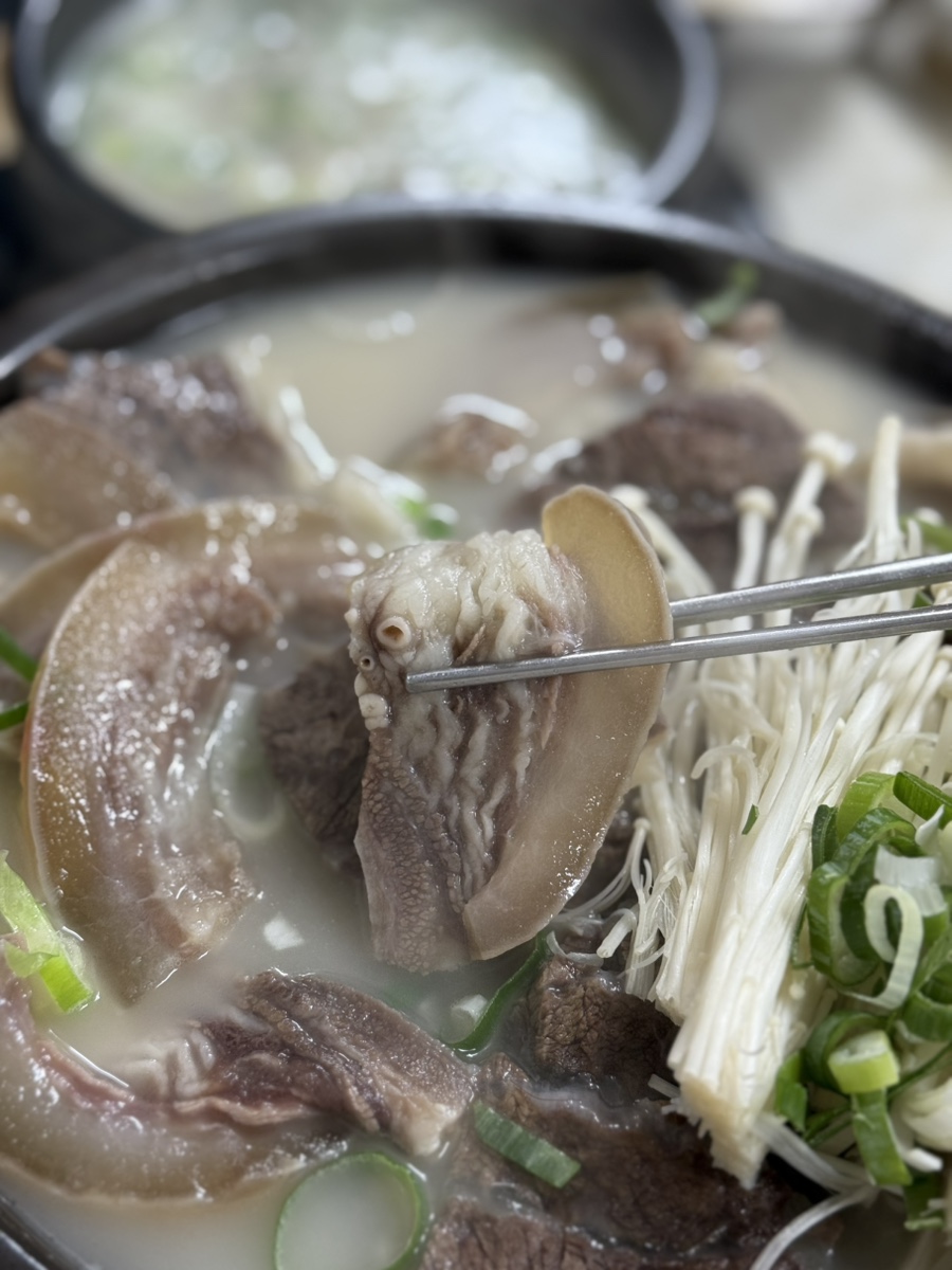 Beef head gomtang