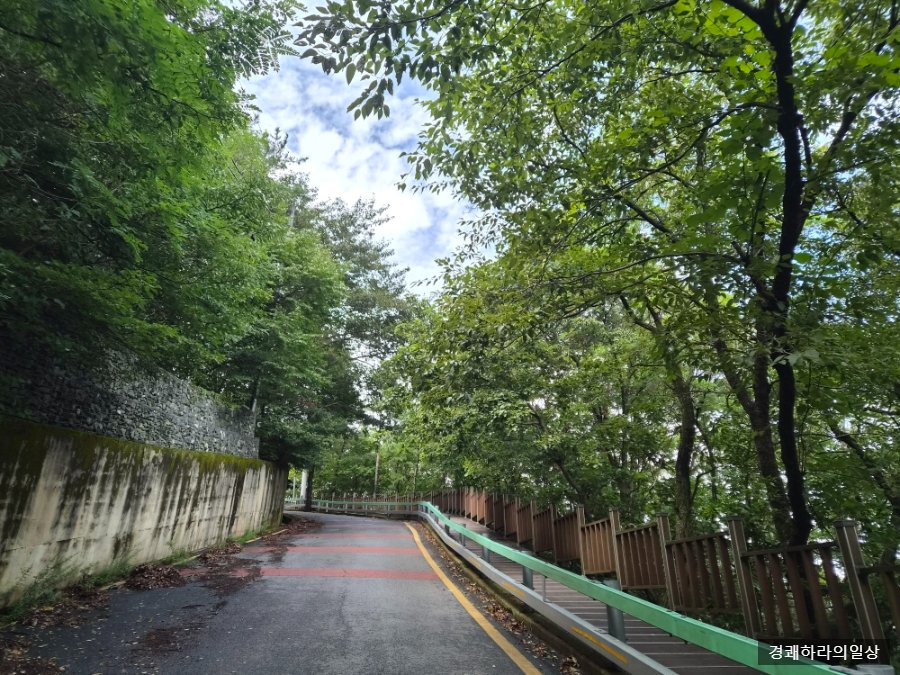 식장산 (Sikjangsan Mountain), photo 3