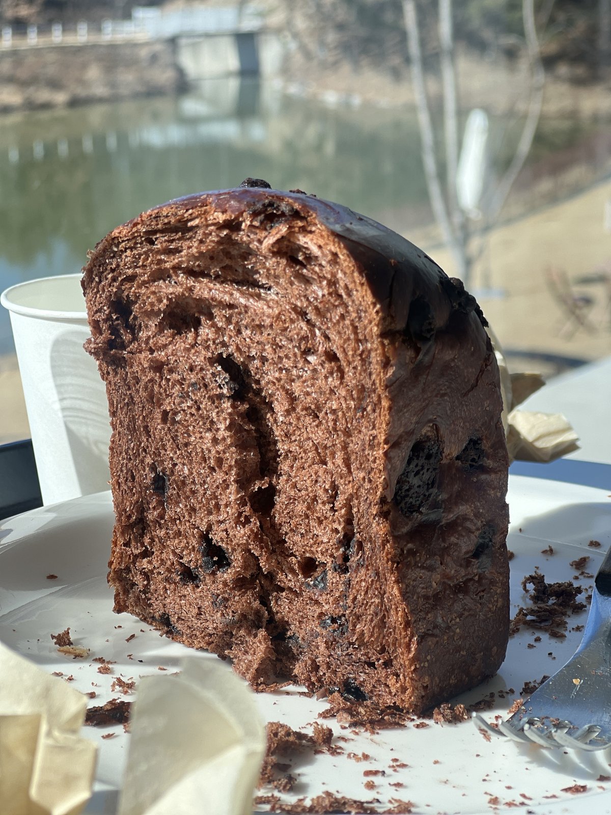 Chocolate bread