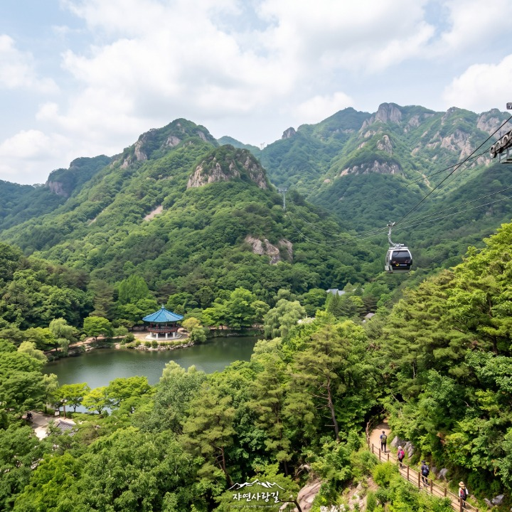 내장산국립공원 (NAEJANGSAN NATIONAL PARK OFFICE), photo 3