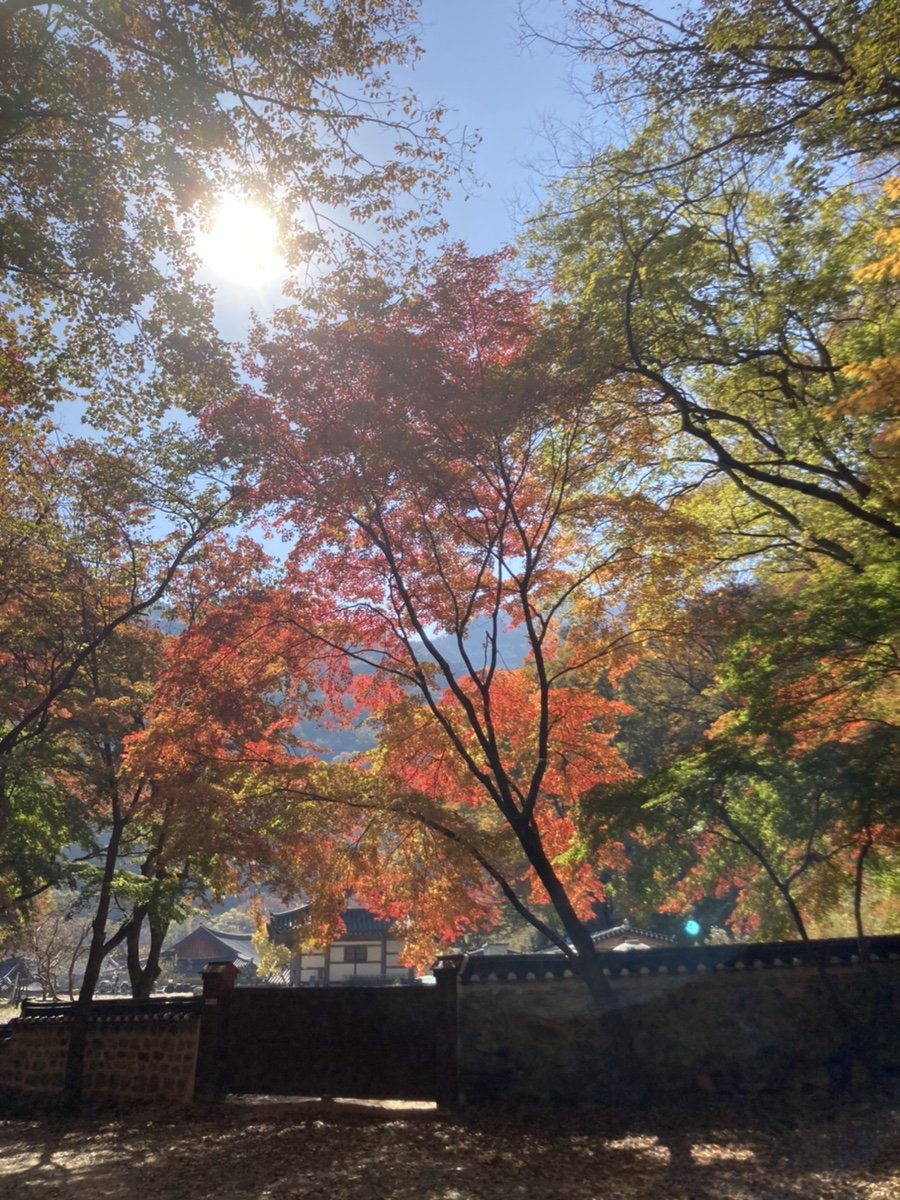 내장산국립공원 (NAEJANGSAN NATIONAL PARK OFFICE), photo 5