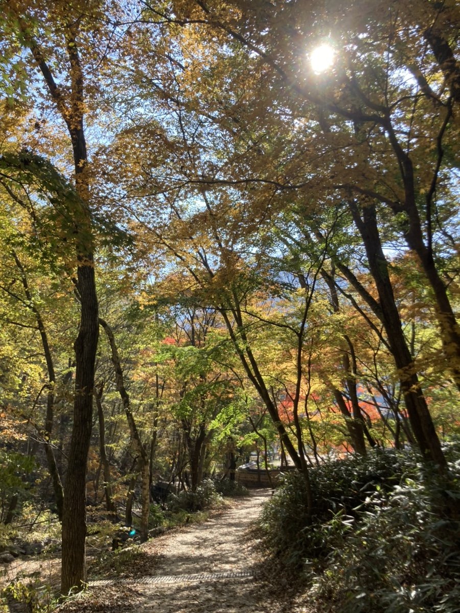 내장산국립공원 (NAEJANGSAN NATIONAL PARK OFFICE), photo 7