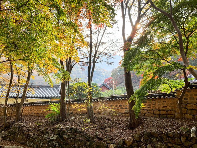 내장산국립공원 (NAEJANGSAN NATIONAL PARK OFFICE), photo 8