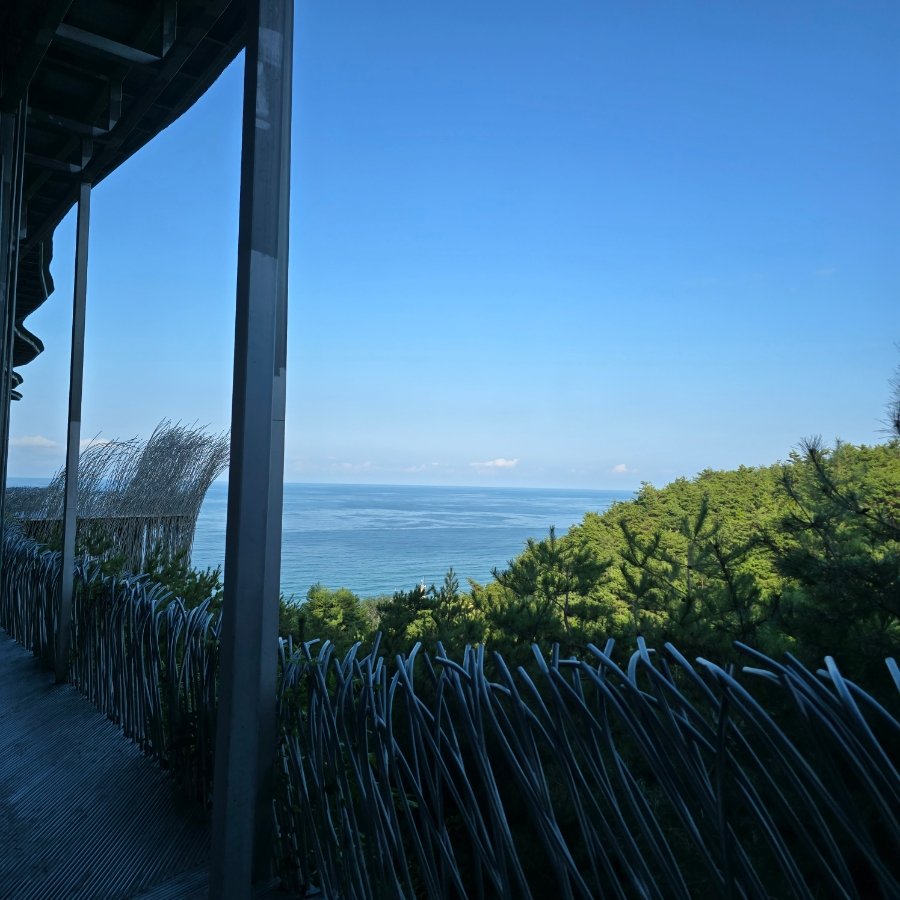 하슬라아트월드 (Haslla Art World), photo 7